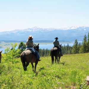 Horseback riding Pucon Lake District Chile