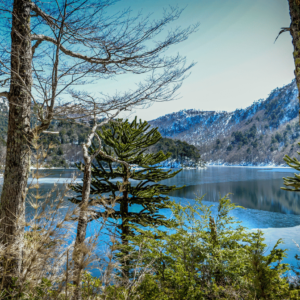 Lake near Villarica National Park