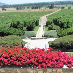 Winery Tour Santiago Chile