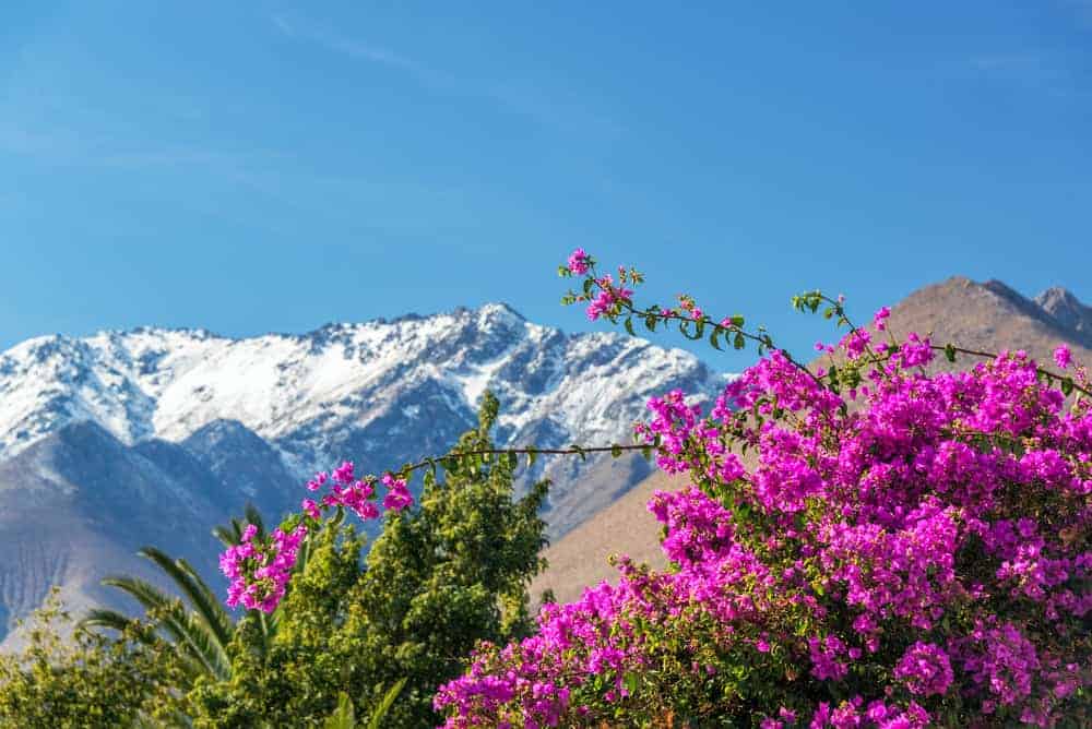 Andes Mountains