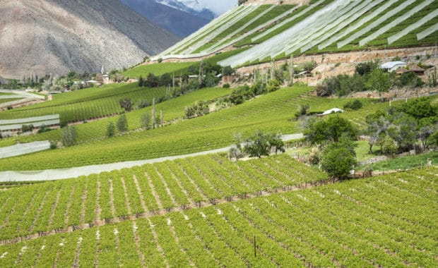 Wine Valleys Chile