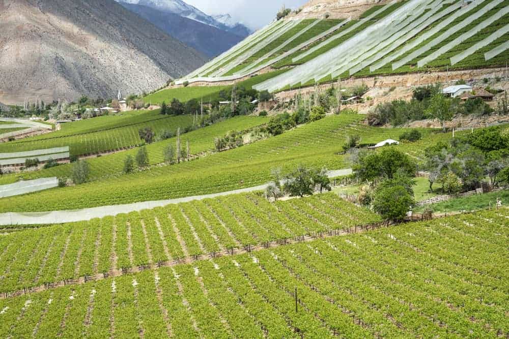 Wine Valleys Chile