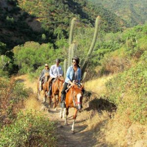 Horseback Riding Tour Santiago