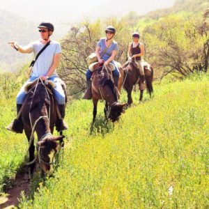 Horseback Riding Santiago