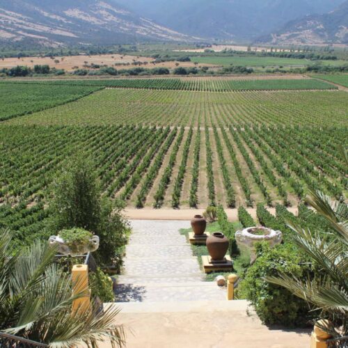 Colchagua Valley