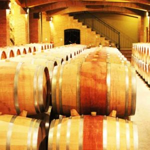 Boutique Winery Tour Maipo Valley