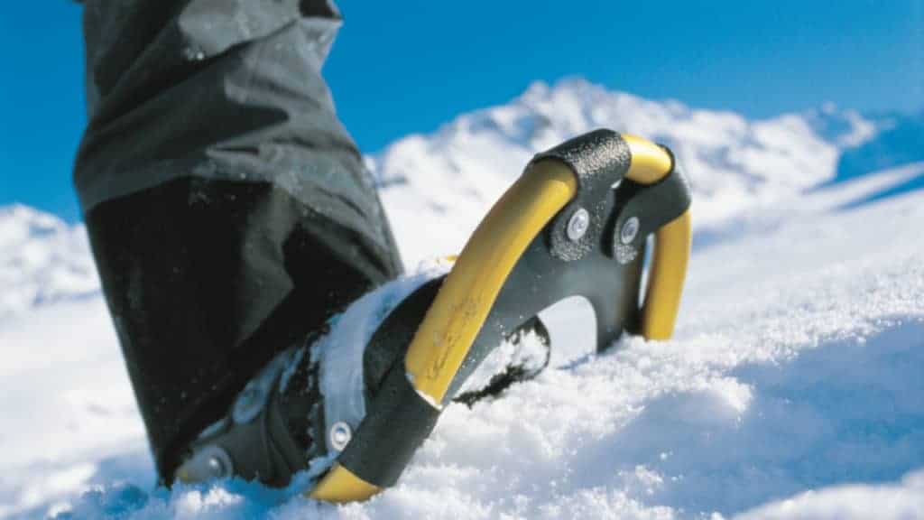 Snow Shoe Trekking - Santiago Chile - snowshoe