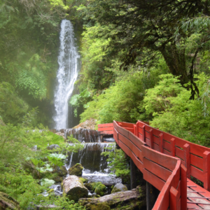 Hot Thermal Springs in South of Chile