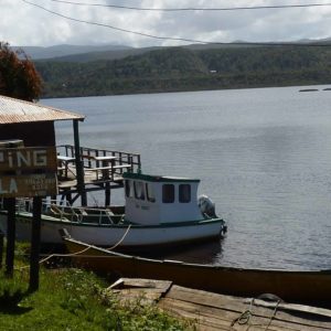 Chiloe birdwatching