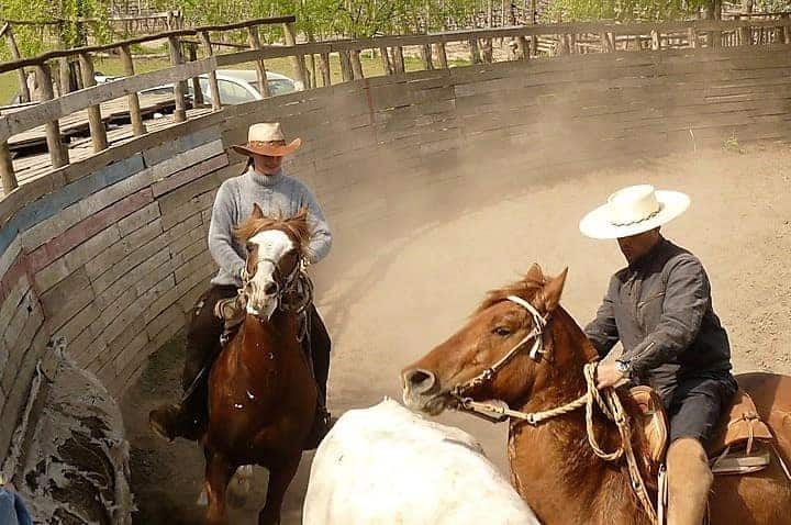 Chilean Rodeo