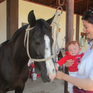 Criollo Horses Farm Tour