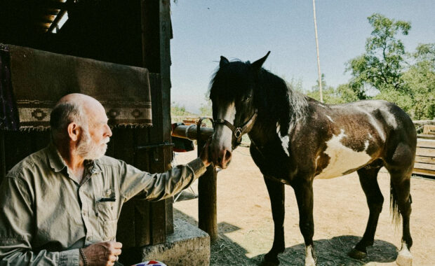 chile horseback riding