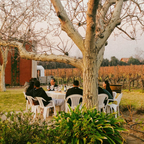 Winelover's Adventure