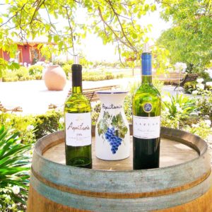 Family Owned Wineries Chile Off Track