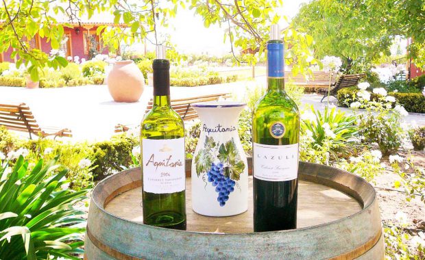 Chilean Wine