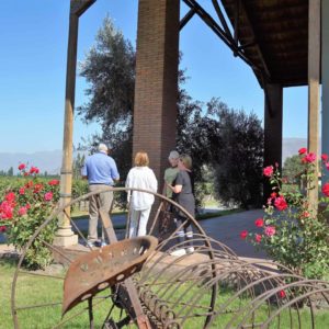 Von Siebenthal winery in the Aconcagua Valley