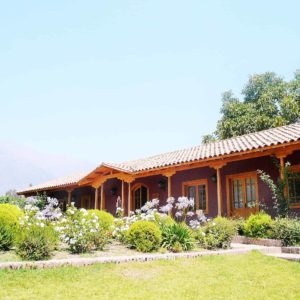 Aquitania winery vineyard in Santiago