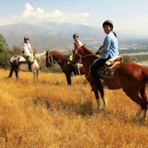 Andes Horseback Ride – Chilean horses in the mountains