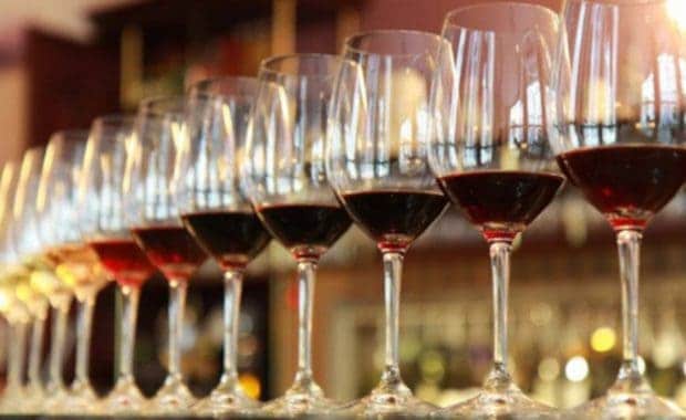 Wine Tour Chile