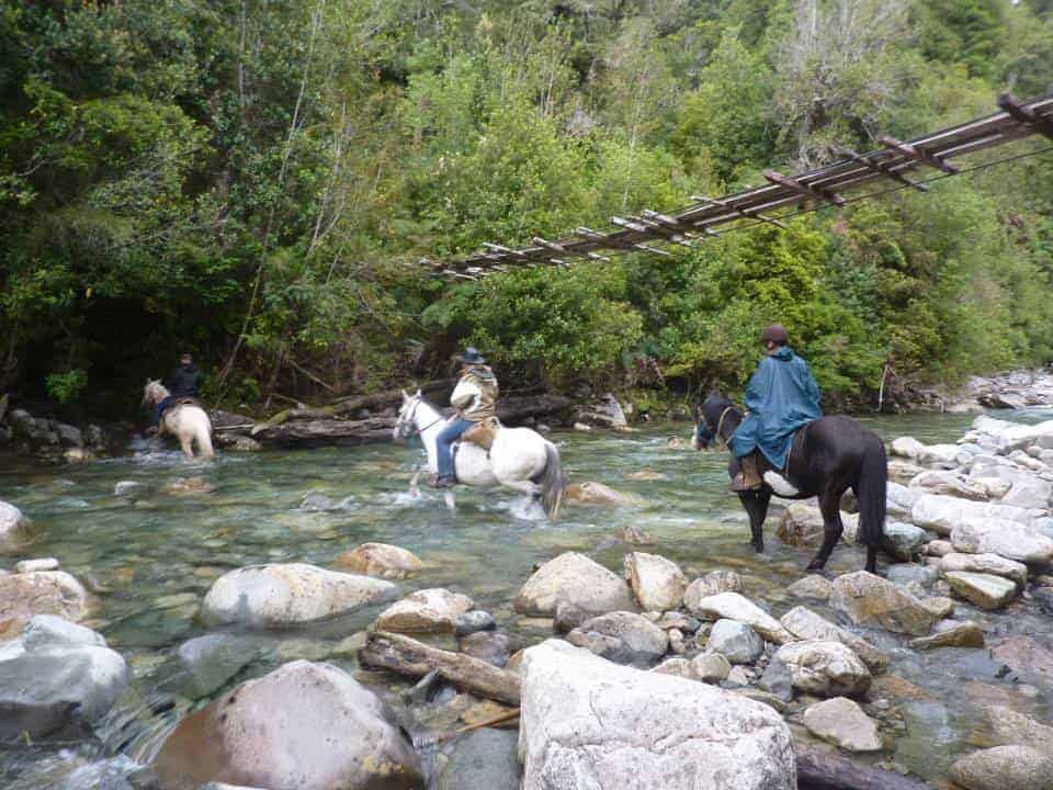 Horses crossing a river on a riding trip in Chile