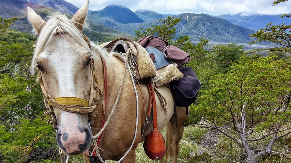Horseback riding by Lago Rupanco in Chile's Lake District