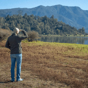 Countryside Family Farm & Spa Retreat – the farm