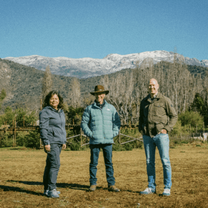 Farm & Spa Retreat – rural Chile