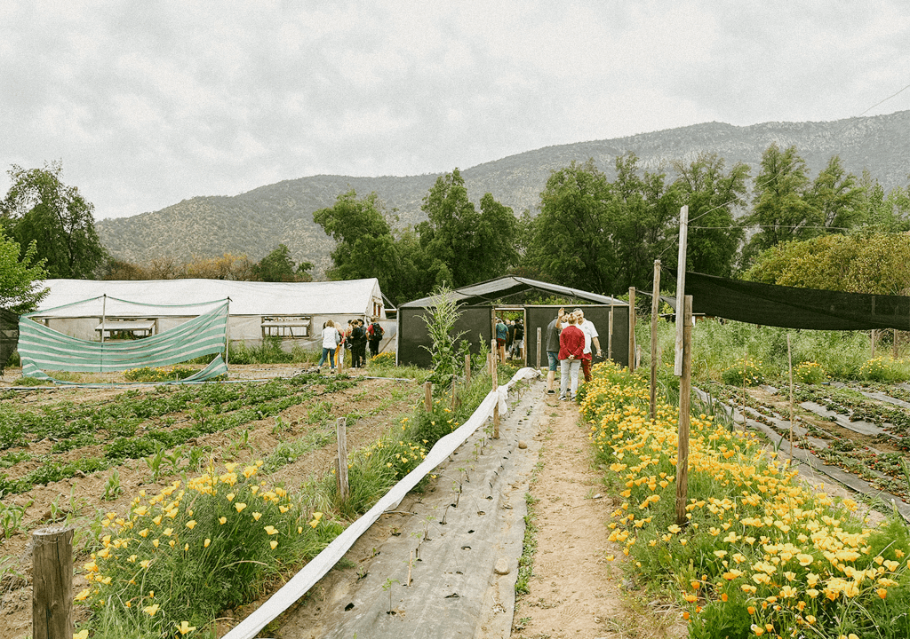 Countryside Family Farm & Spa Retreat near Santiago