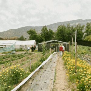 Countryside Family Farm & Spa Retreat near Santiago