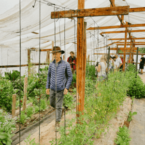 Farm & Spa Retreat – afternoon in the countryside