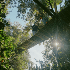 Farm & Spa Retreat – family farm life