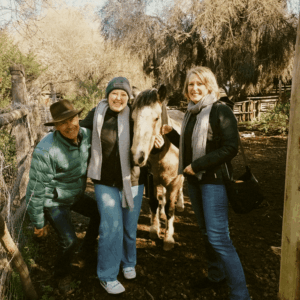 Farm & Spa Retreat – rural landscape