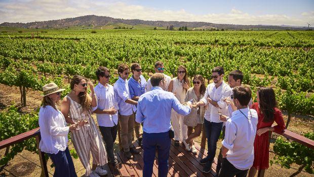 Casas del Bosque winery, Casablanca Valley