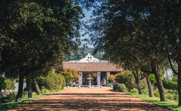 Viña Casas del Bosque – one of the world's best vineyards 2024