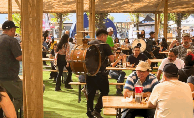 Vendimia 2025 grape harvest celebration in Chile's wine valleys