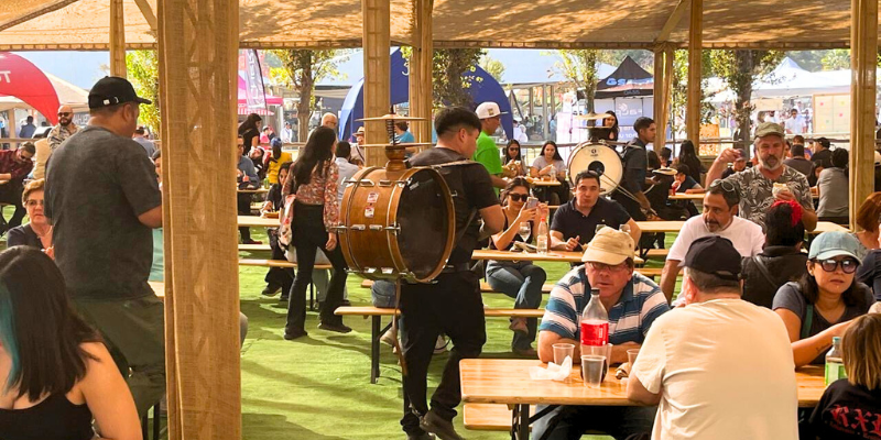 Vendimia 2025 grape harvest celebration in Chile's wine valleys