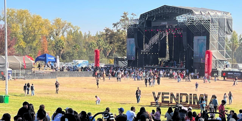 Vendimia 2025 – visiting Chilean wineries during harvest