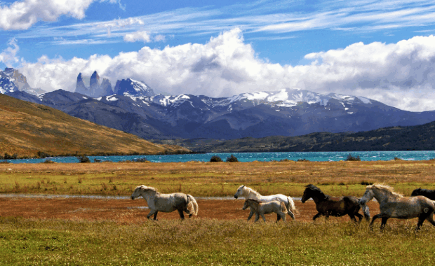 travel sustainable