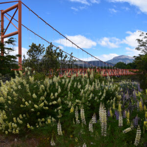 Puerto Yungay area on the southern Carretera Austral
