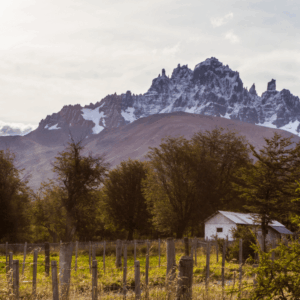 Cerro Castillo Weekend – mountain trail