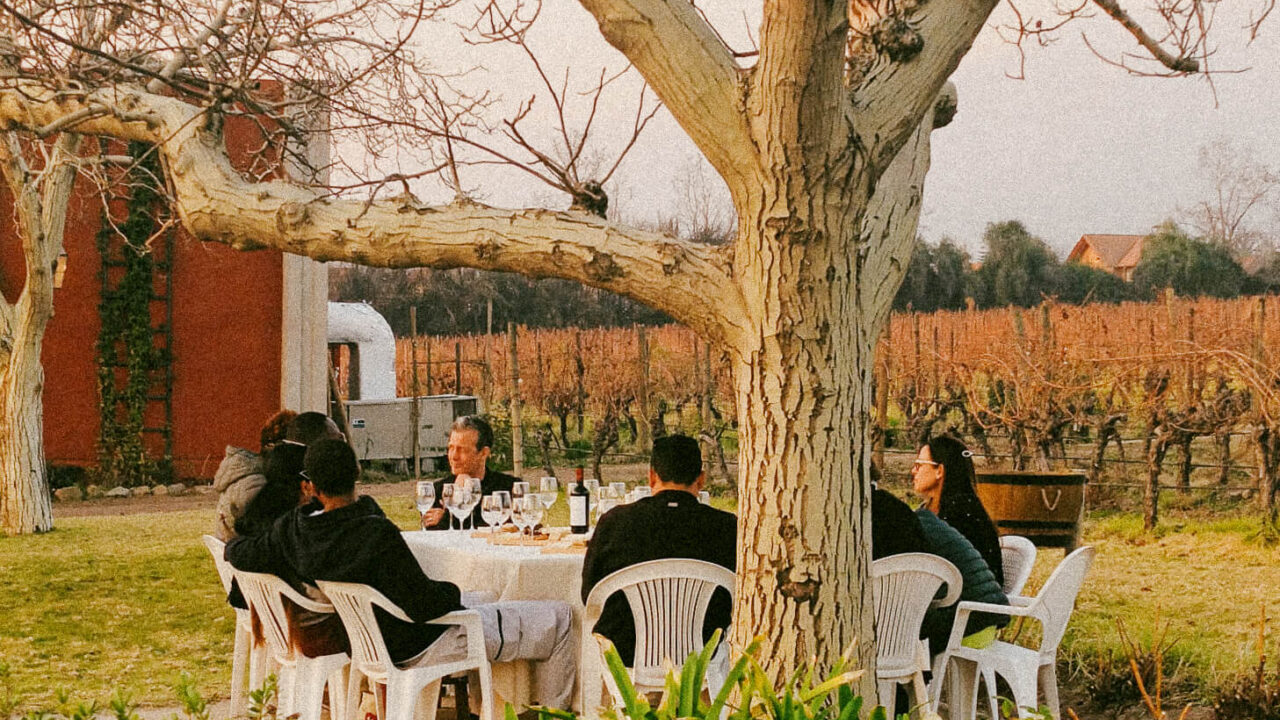Winelover's Adventure – private tour of family-owned wineries from Santiago